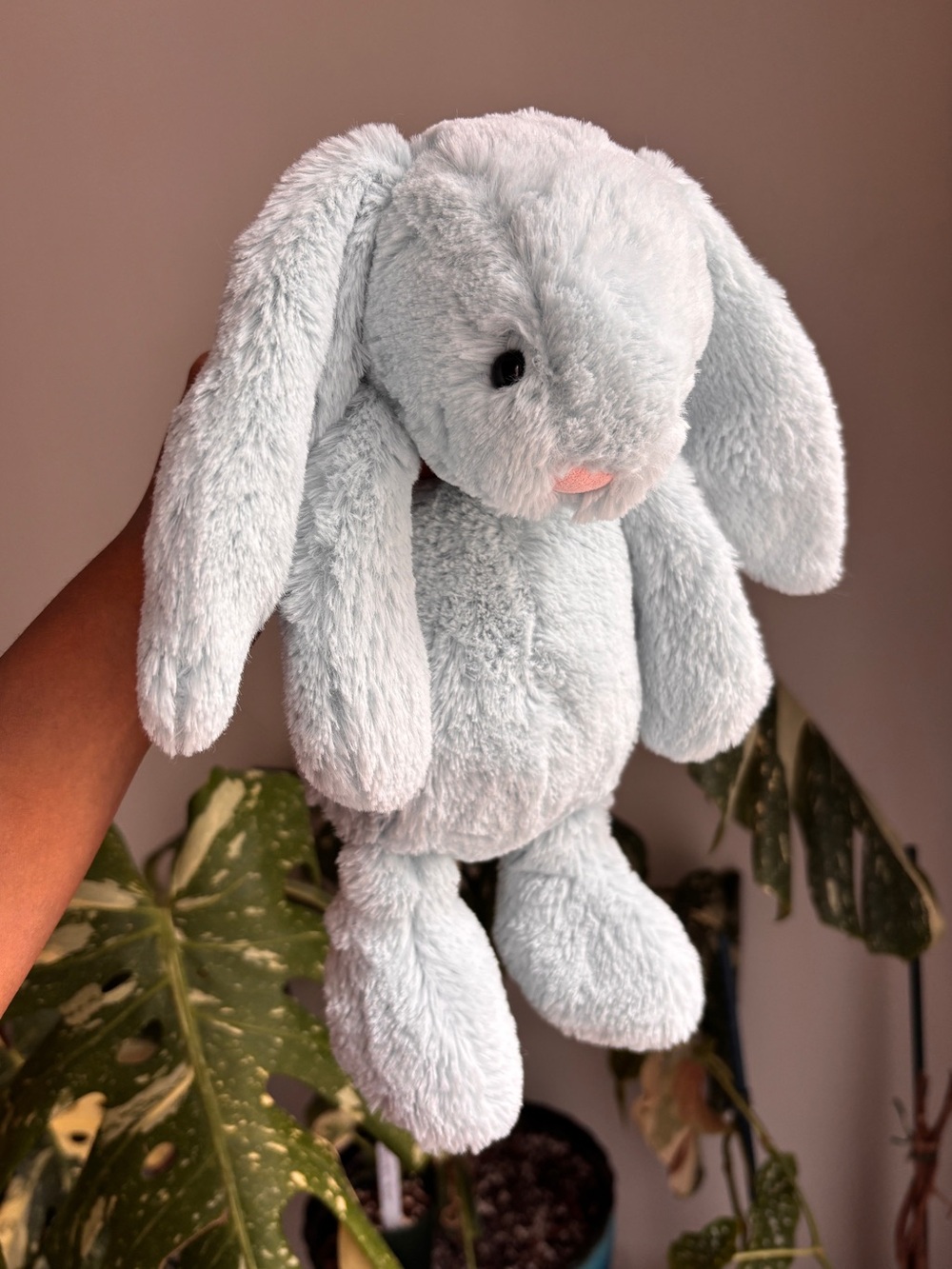 Jellycat Retired Bashful Beau Bunny Plush - Picture 2 of 6